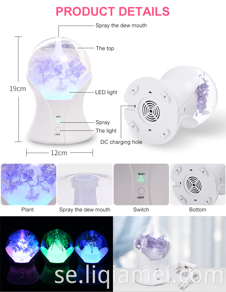 Hushållsrundan dekorativ 100 ml Mist Maker Fogger Aromaterapi Essential Oil Diffuser LED Light Firidifier